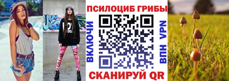 Купить закладки  Наволоки  Галлюциногенные грибы Psilocybine cubensis 