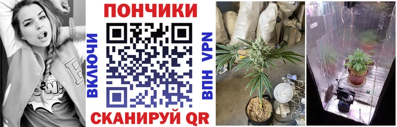 Шишки марихуана OG Kush  Купить  Наволоки 